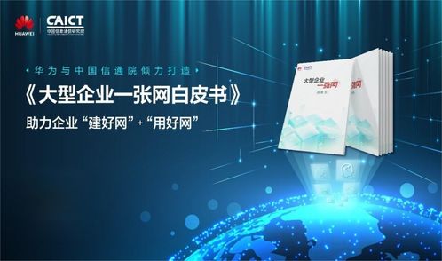 企业一张网 数字雨林中的群企云商网生长时